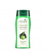  Biotique Bio Green Apple Fresh Daily Purifying Shampoo & Conditioner For Oily Hair & Scalp 100ml