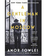 A Gentleman in Moscow by Amor Towels