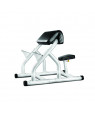 A 62 - Bicep Arm Curl Bench (WNQ)