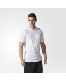 Adidas Basic Logo Graphic Tshirt For Men B48046