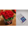 Combo Red Roses In Love You Sticker Vase Flowers+ The Chocolate Garden Silver Chocolate Box