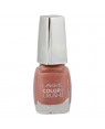 Lakme True Wear Color Crush Shade 42 Nail Color