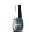 Lakme True Wear Color Crush Shade 55 Nail Color