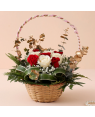 Lovely White & Red Roses Basket Flowers