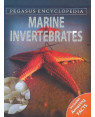 PEGASUS ENCYCLOPEDIA Marine Invertebrates: 1 (Sea World) by Pegasus