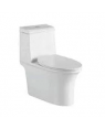 Parryware Reeve Rimless Single Piece S-220 Water Closet / Toilet-C8900