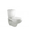 Parryware Cardiff Wall Hung with Dual Flush Cistern Closet / Toilet- C0270