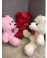 Combo Teddy Bear Cute Love Gift Toys 9 Inch Multicolor