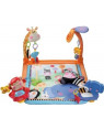 Fisher Price Discover 'n Grow Open Play Musical Gym W2620