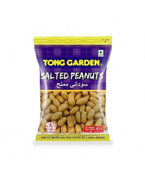 Tong Garden Salted Peanuts 42gm