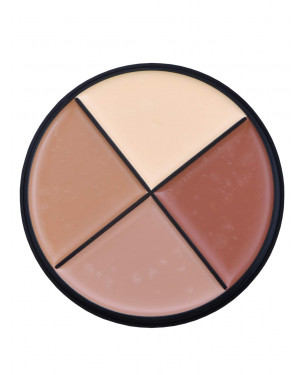 Daily Life Forever52 4 Color Concealer Wheel