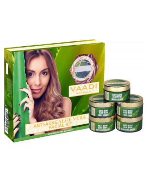 Vaadi Herbals Anti Acne Aloe Vera Facial Kit with Green Tea Extract, 270g