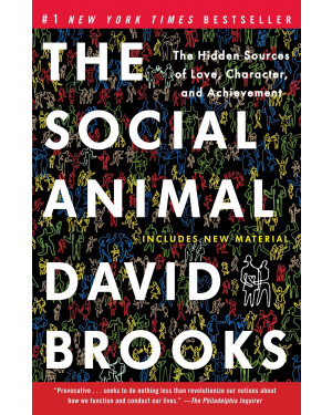 The Social Animal: The Hidden Sources of Love, Character, and Achievement by David Brooks 