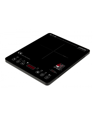 Ageno - Ultra Slim Induction Cooker With Free Stainless Steel Pot