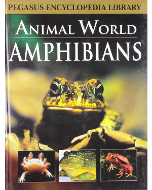 Amphibiansanimal World by Pegasus