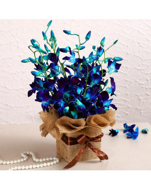 Gorgeous Blue Orchids Arrangement Flowers