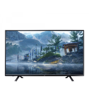 CG 43" FHD Android LED TV CG43F1