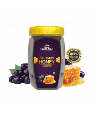 Divine Himalayan Jamun Honey 500g [For Diabetic Patient]