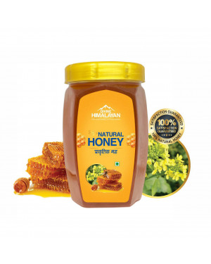 Divine Himalayan Natural Honey 500g