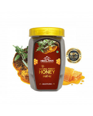 Divine Himalayan Natural Forest Honey 500g