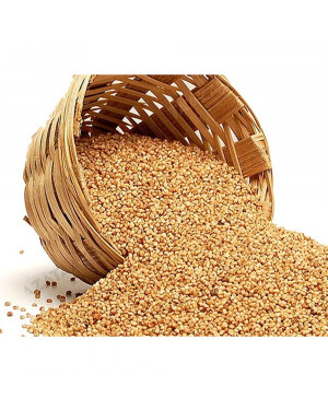 Essential Living Kodo Millet 500g