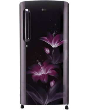 LG 190 L Single Refrigerator Purple Glow GLB205APGB