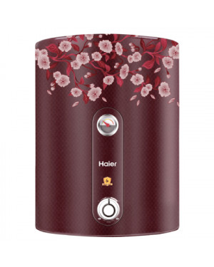 Haier 25 Liters ES - 25V- COLOR FR Water Heater