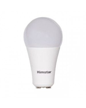 Himstar 14 Watt Classic Bulb A67