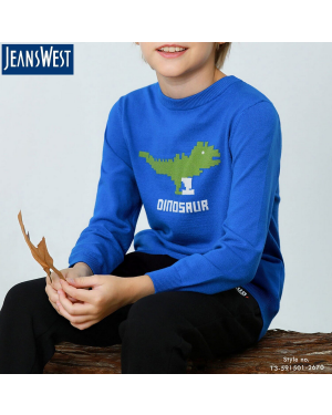 Jeanswest Mrn.Blue Sweater for Boys
