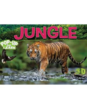 Jungle - 3D Pop-up Book by Team Pegasus