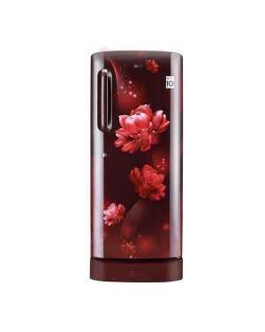 LG Single Door Refrigerator GLD205ASCB 190 Ltr