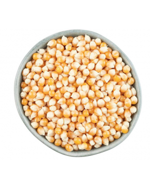 Life Agro Argentina Corn 1kg