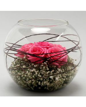 Lovely Pink Roses Vase Arrangement Flowers