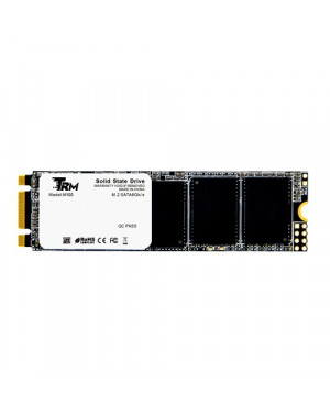 TRM M100 256GB M.2 SATA III 2280 SSD