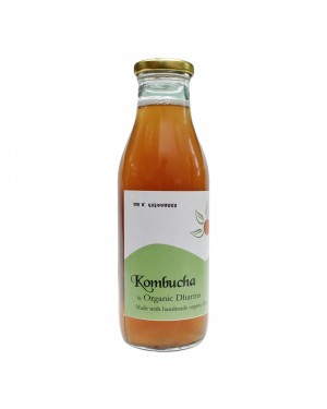 Organic dharma Ginger kombucha- 500ml