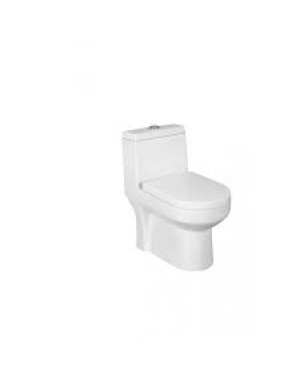 Parryware Prime Single Piece Suite Water Closet / Toilet- C8853