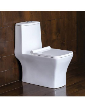 Parryware Aster Single Piece Suite S-230 Water Closet / Toilet- C8966