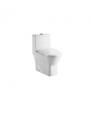 Parryware Eden Single Piece Suite S-300 Water Closet / Toilet- C8852