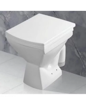 Parryware Verve Plus S Trap European Water Closet / Toilet- C022Q