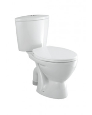 Parryware Flair Cistern Set With Dual Flush Fittings White Closet / Toilet- C0237