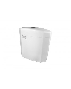 Parryware Hexa Dual Flush Polymer Plastic Cistern White Toilet Flush E8319