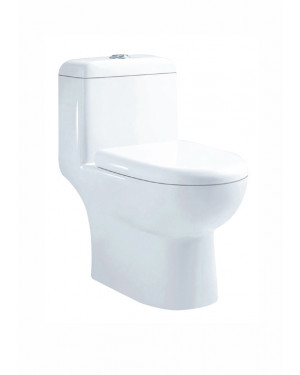 Parryware Opula Single Piece S-180 Closet / Toilet-C847L