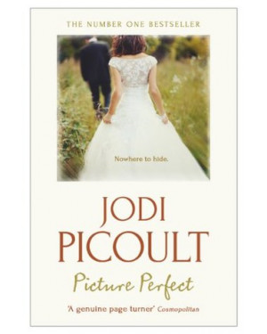 Picture Perfect By Jodi Picoult