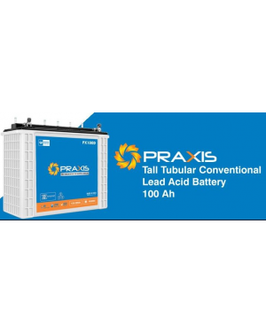 Praxis Tubular Battery - 100ah