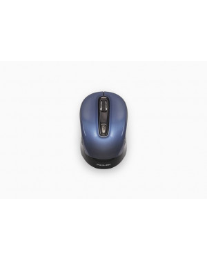Prolink Wireless Optical Mouse PMW6008