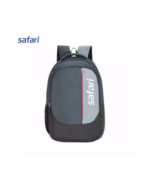 Safari Polo 2 Backpack 19 Inch | Organizer | 2 Compartments | Laptop Compartment | 1 Front Pocket | Mesh Pocket | Color Grey