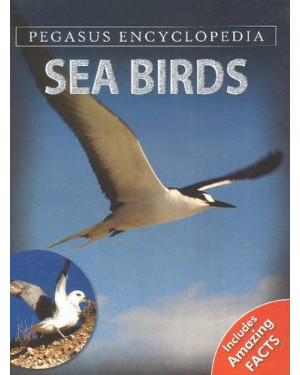 Sea Birdssea World by Pegasus