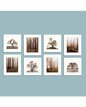 Art Street Individual Wall Photo Frame (White, 4 Units of 8x10 and 8x8 Each)