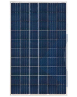 QXPV Poly Crystalline Solar Pane SL 335 STU- 36P(335W) 