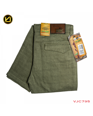 VIRJEANS (VJC778) Stretchable Cotton Chinos Pant For Men – Aqua Green
